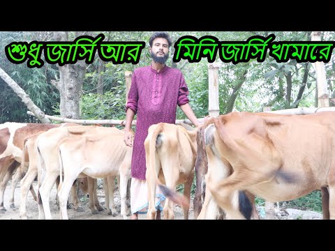 ভিডিও: কীভাবে জার্সি আপডেট করবেন