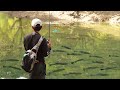 【神回】デカバスが異常発生してる山奥のダムでプロカメラマンに撮影してもらった結果…