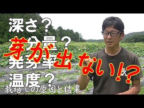 プロの農家は原因を突き詰めて改善していく