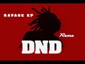 Rema - DND Lyrics