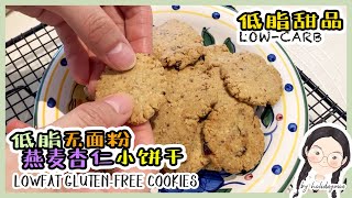 低脂无面粉小饼干🍪减肥小零食  ｜ low fat gluten free cookies