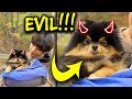 Yeontan hates BTS 🤭