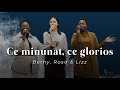 Bethy, Rosa &amp; Lizz - Ce minunat, ce glorios