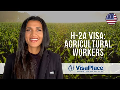 H-2A：農業労働者のための米国就労ビザ