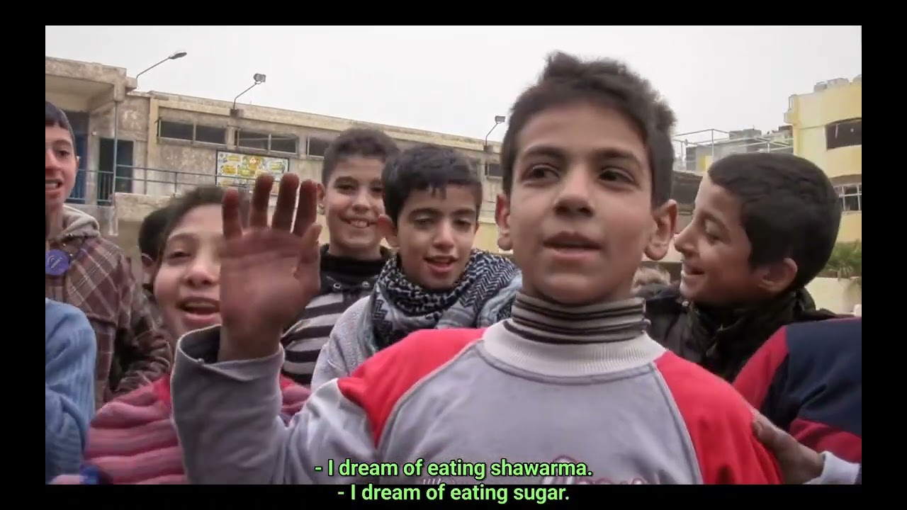 little palestine diary .