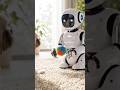 Dog playing with robots and Robo baby #robot #cute #funny #robo #artificialintelligence#sitzu #dogs