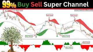[Win Rate 98%] Buy Sell Super Channel With MACD | Earn $300 Per Day