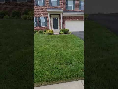 Day 24 Lawntransformation Diy Lawncare 