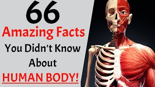 66 Jaw-Dropping Facts You Didn't Know About Human Body | the HUMAN Body Facts | MHFT!