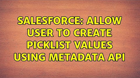 Salesforce: allow user to create picklist values using metadata api (2 Solutions!!)