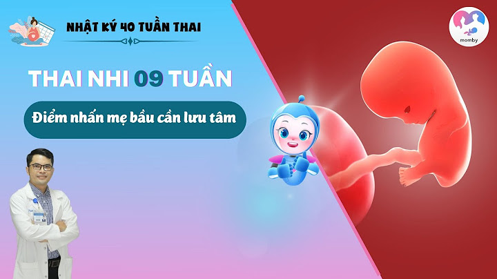 Thai 9 tuần tuổi nhịp tim bao nhiêu năm 2024