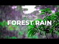 Música relajante para dormir con sonidos de la lluvia del bosque. - FOREST RAIN -