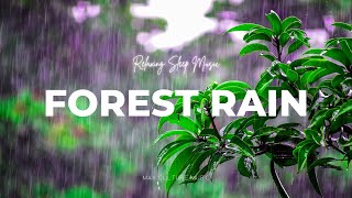 Música relajante para dormir con sonidos de la lluvia del bosque. - FOREST RAIN -