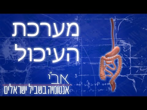 וִידֵאוֹ: מהי יחידה בסיסית של כל היצורים החיים?