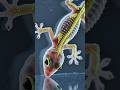Gecko Gravity Ko Kaise Beat Karta Hai? 😱 Science Explained #shorts