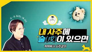 내 사주에 술(戌)이 있으면