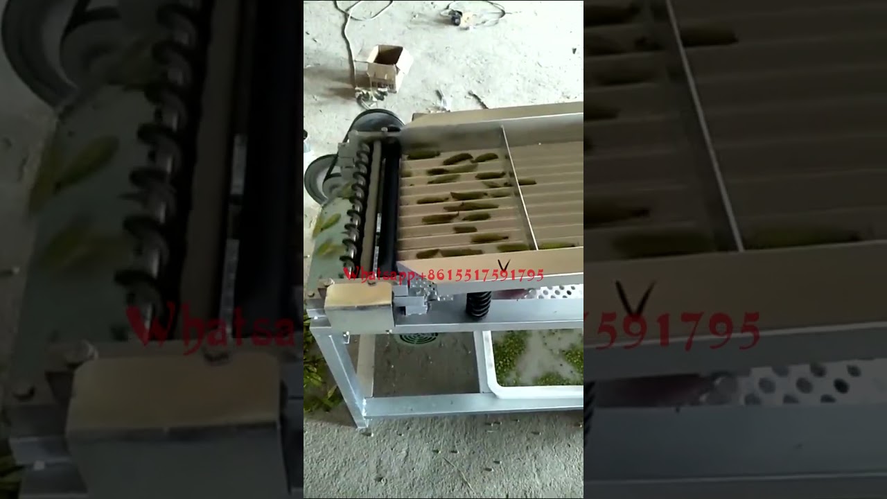 Automatic Pea Sheller Green Bean Shell Removing Machine Fava Bean Peeler