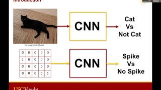 Talk: Validation of a Convolutional Neural Network Model for Spike Transformation Using a Generaliz…