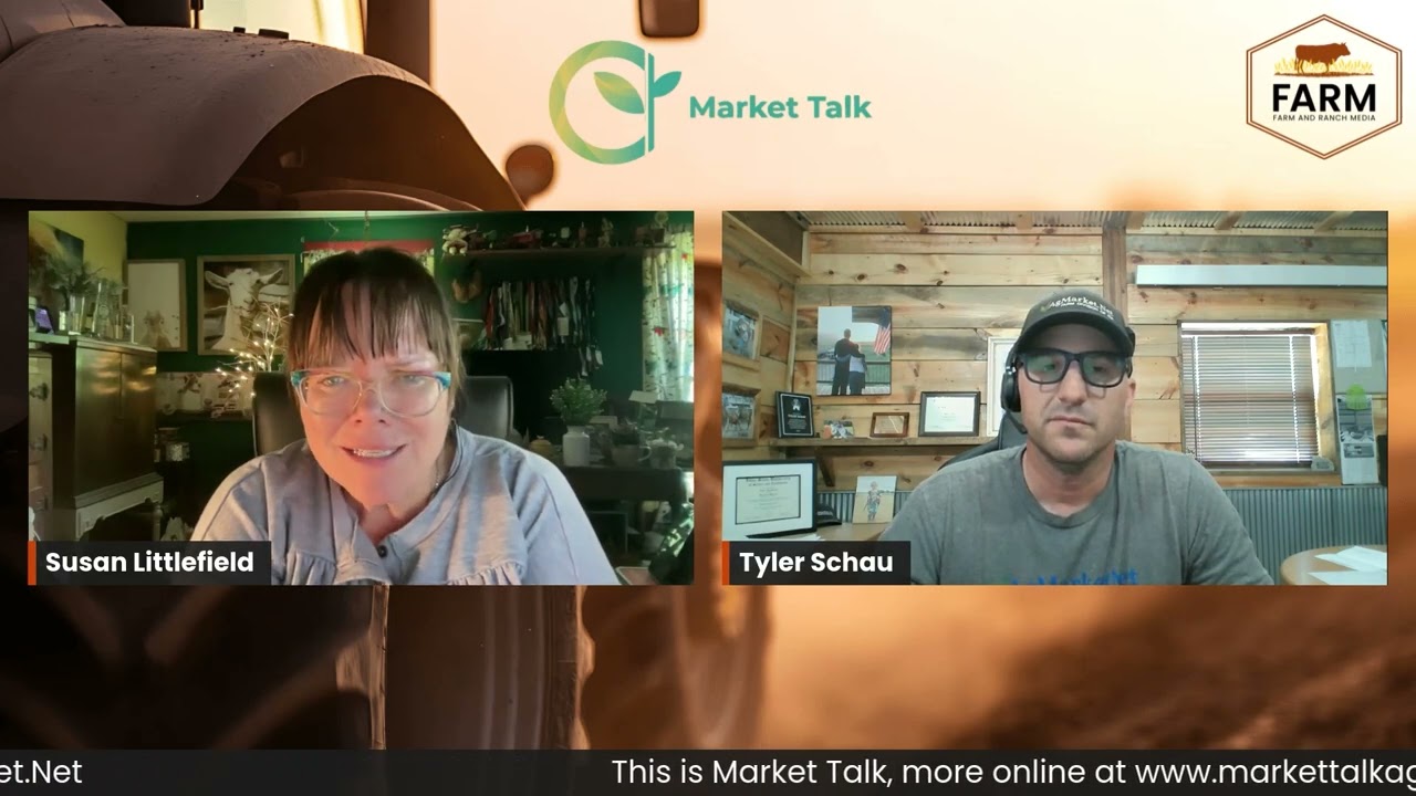 Short Covering Sparks Movement Ahead of Key Report While Cattle Keep an Eye on Headlines