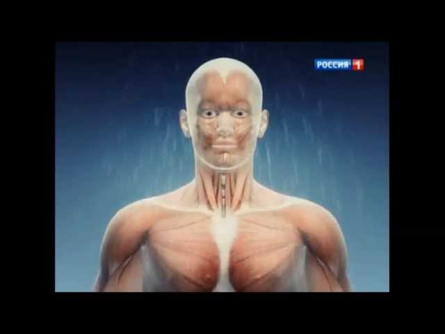 Душ Алексеева на канале Россия1.mp4