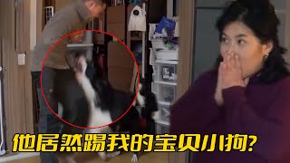 訓犬師差點被邊牧咬傷狗主人卻在旁邊看熱鬧問就是害怕沒反應過來