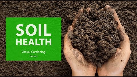 Virtual Gardening Soil Health