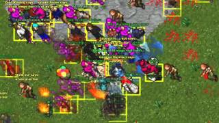[Dolera] War: Thais - Ab'dendriel - Carlin