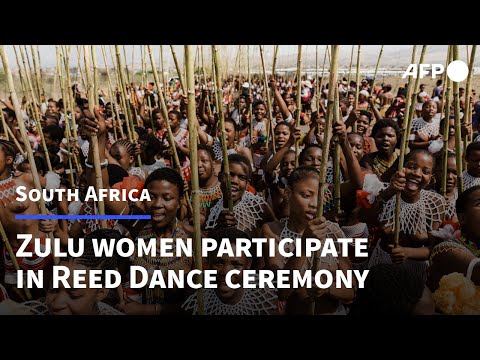 South Africa's Zulus fete young women's purity at Reed Dance ceremony | AFP