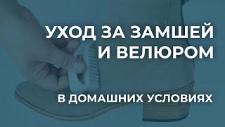 Как ухаживать за замшей и велюром в домашних условиях. Обработка — чистка спилка велюра.