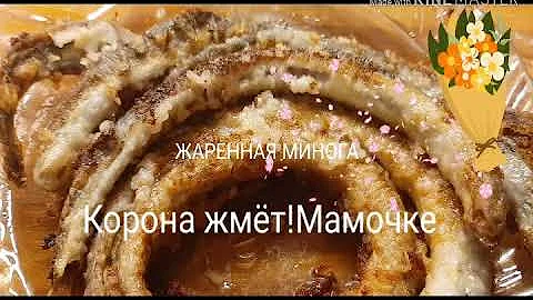 1 ИЗ ЛУЧШИХ СПОСОБОВ ПРИГОТОВИТЬ МИНОГУ / Жареная минога