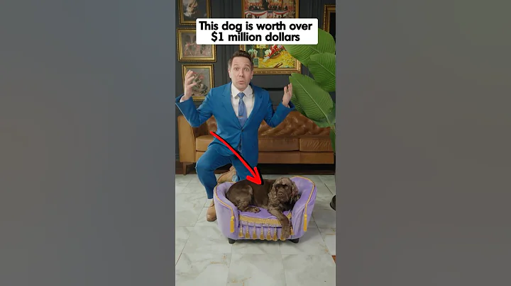 This Dog Is Worth Over 1 Million Dollars