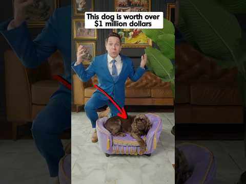 This Dog Is