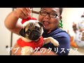独身デブが念願のクリスマスを迎えました。