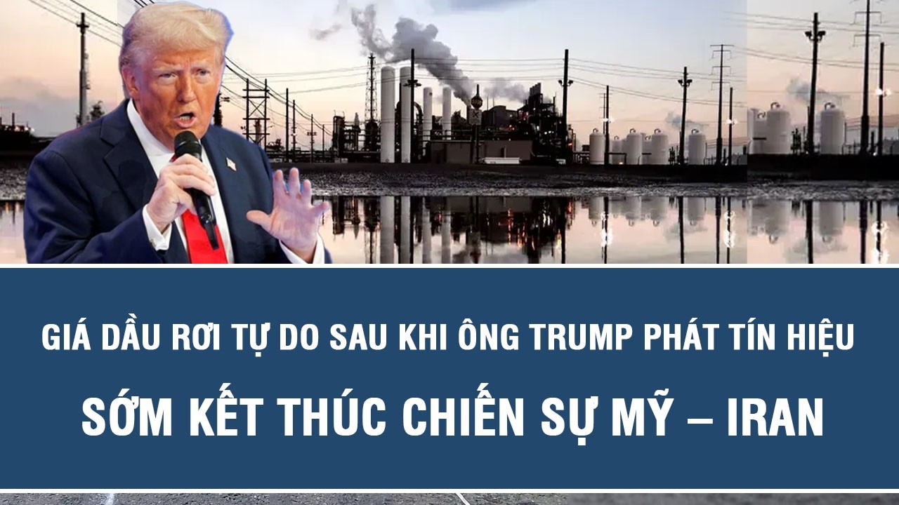 Giá dầu rơi tự do sau khi ông Trump phát tín hiệu sớm kết thúc chiến sự Mỹ – Iran