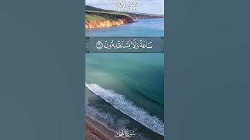 القارئ خالد الجليل سورة النحل
