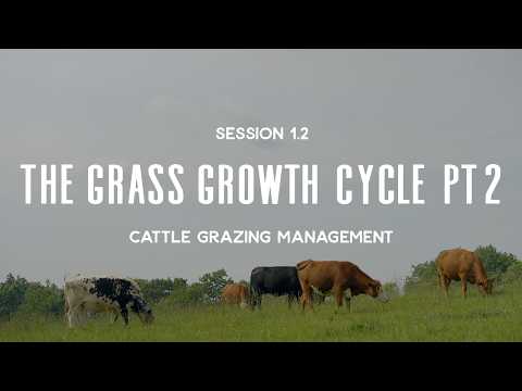 Cattle Grazing Management Session 1.2: The Grass Growth Cycle Part 2