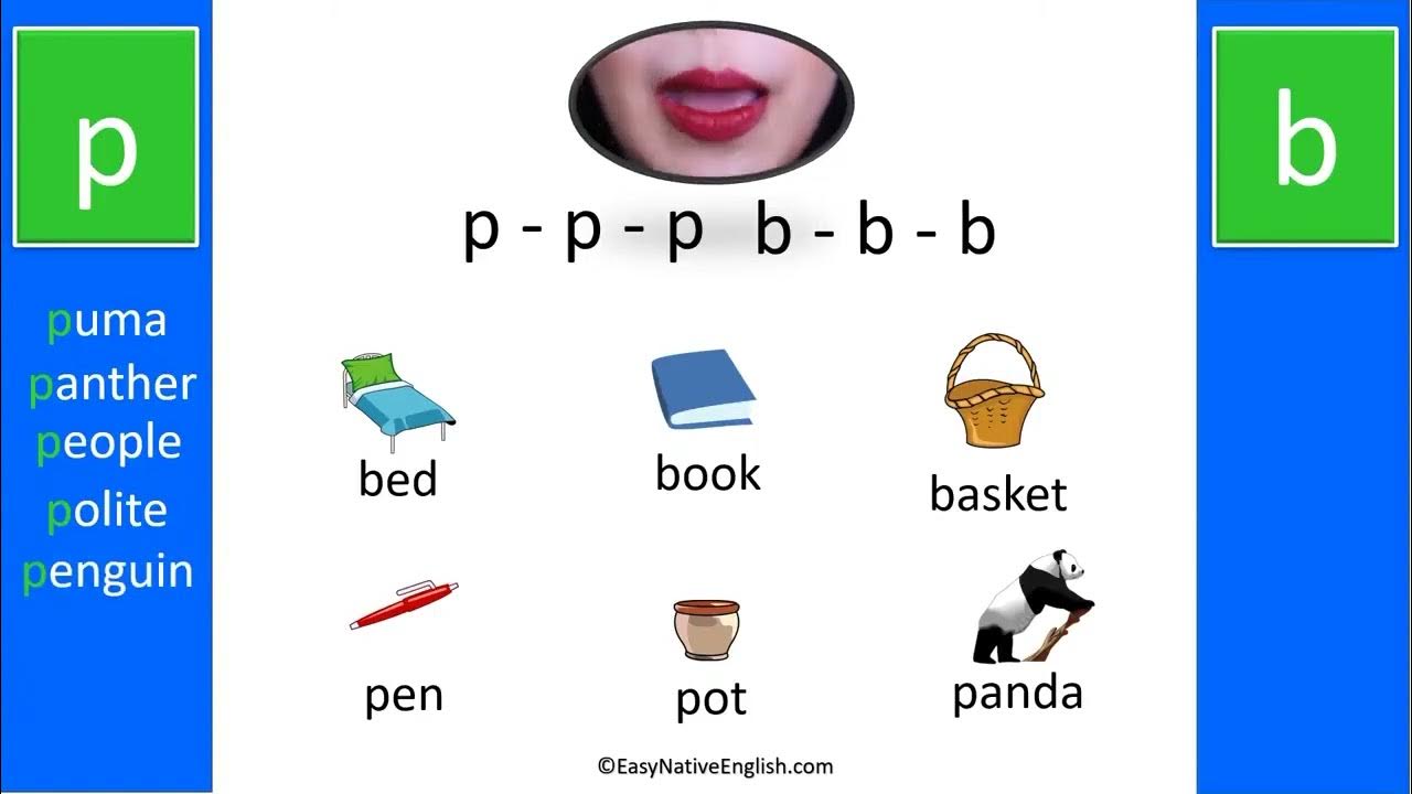 A. Медленный саунд кто поет. A. Английский звук d. Voiced and unvoiced sounds.