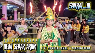 Pesona Gayengnya  Dewi Sekar Arum  Sicantik  Megal Megol   Sumberjambe  Poncokusumo