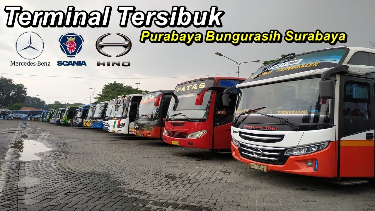 Jadwal Bus Dali Mas Bojonegoro Bungurasih