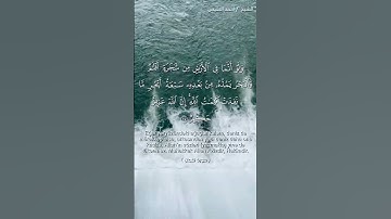 تلاوة رائعة للشيخ أحمد النفيس#quran #القرآن_الكريم #اكسبلور #تلاوة_خاشعة #راحة_نفسية #قرآن #قران#
