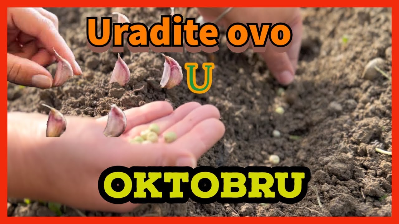 Обязательно сделайте это в ОКТЯБРЕ! Вы не пожалеете об этом