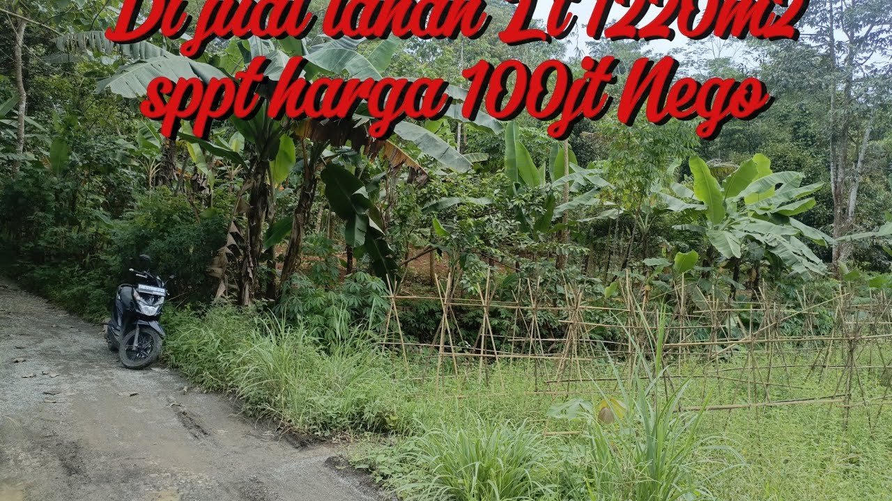 Di jual lahan kebu