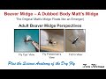 Tying the Adult Beaver Midge Fly Pattern.  &quot;Matt&#39;s Midge&quot; with a Dubbed body for Better Buoyancy.