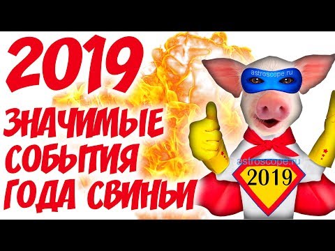 2019 год: на что стоит обратить внимание