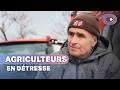 Travailler pour rien : la détresse silencieuse des agriculteurs