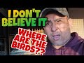 I JUST DON&#39;T KNOW HOW TO QUIT🤣|PIGEON RACING UK|HUDDERSFIELD CENTRAL FLYING CLUB