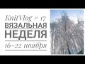 KnitVlog № 17 / Мало-вязальная неделя 16-22 ноября / Зима пришла