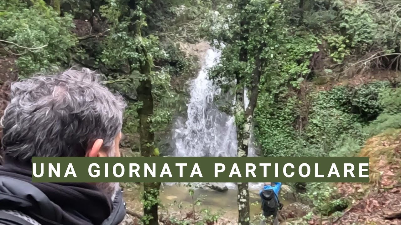 UNA GIORNATA PARTICOLARE