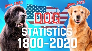 Evolution of Popular Dog Breeds in the U.S. (1880-2020): A Pawsome Journey 🐾 by American Dog Lovers 370 views 3 months ago 8 minutes, 27 seconds