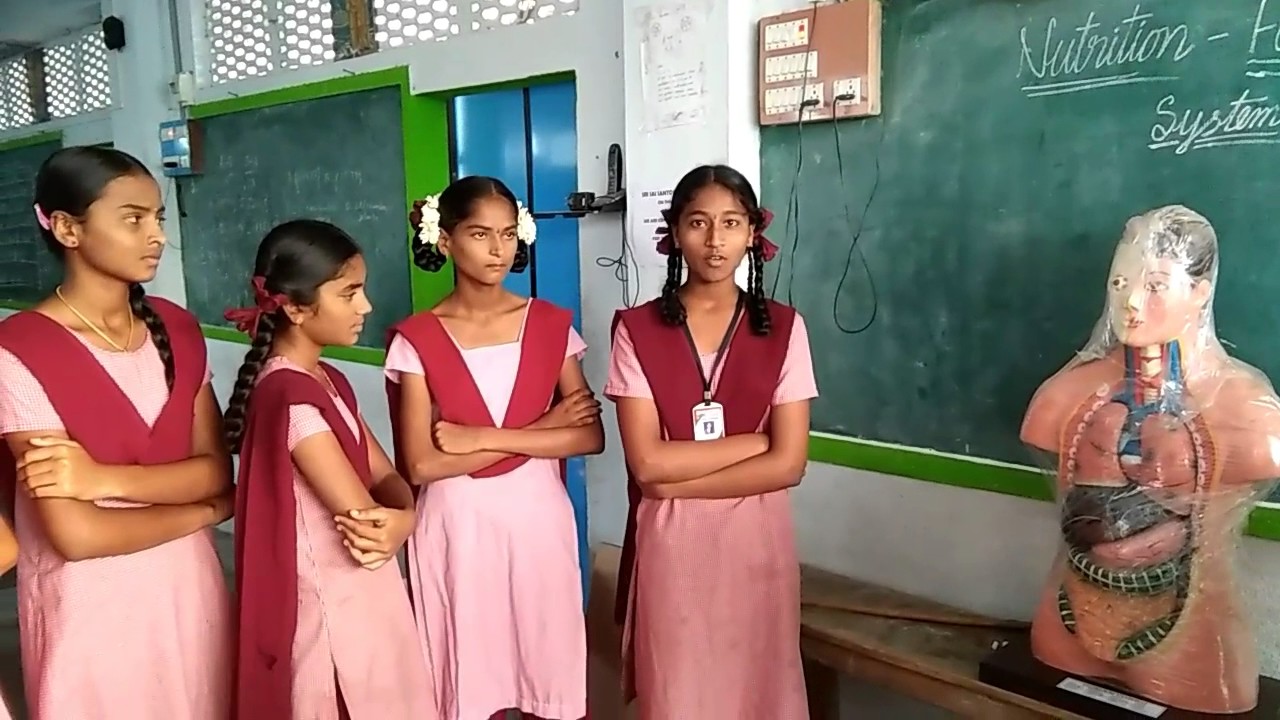 . Internal parts of human body. - YouTube